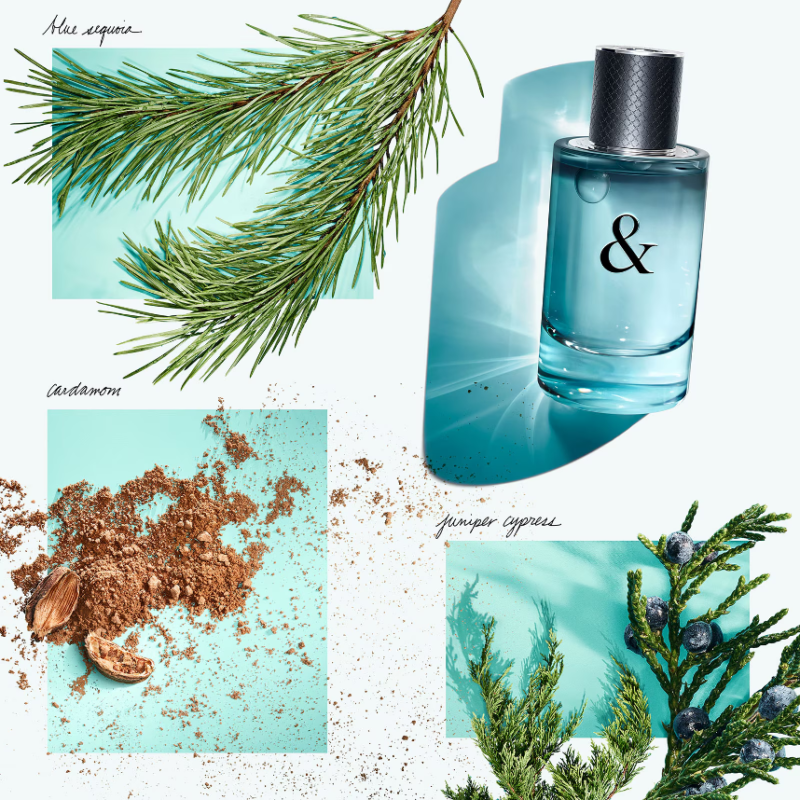 Tiffany & Co. Tiffany & Love For Him Eau de Toilette 50ml - Image 3
