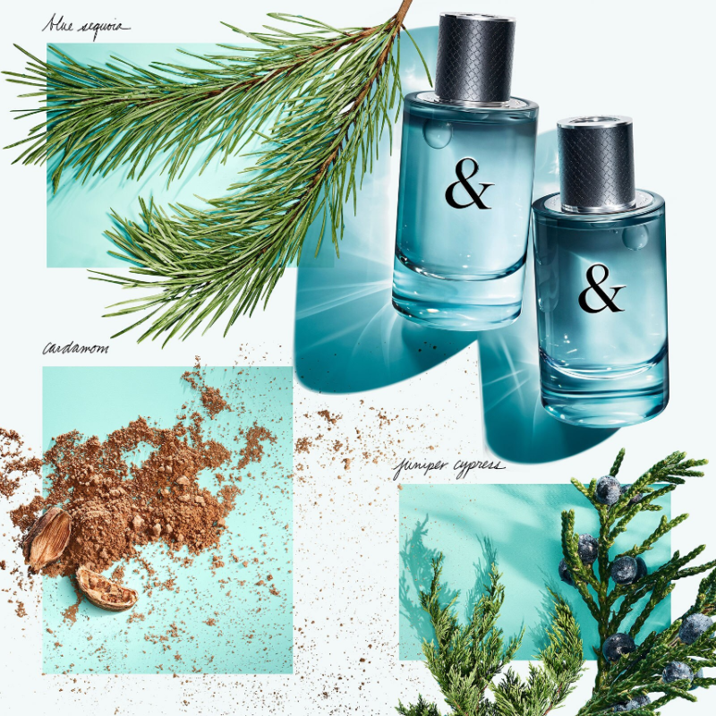 Tiffany & Co. Tiffany & Love For Him Eau de Toilette 50ml - Image 5