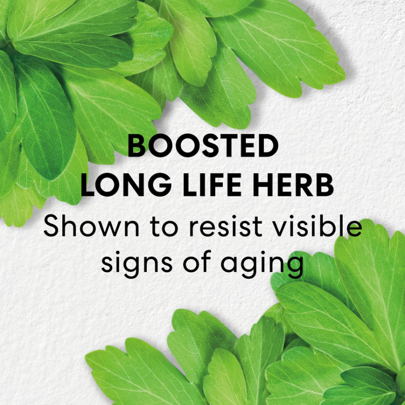 bareMinerals Skinlongevity Long Life Herb Night Treatment 50ml - Image 2
