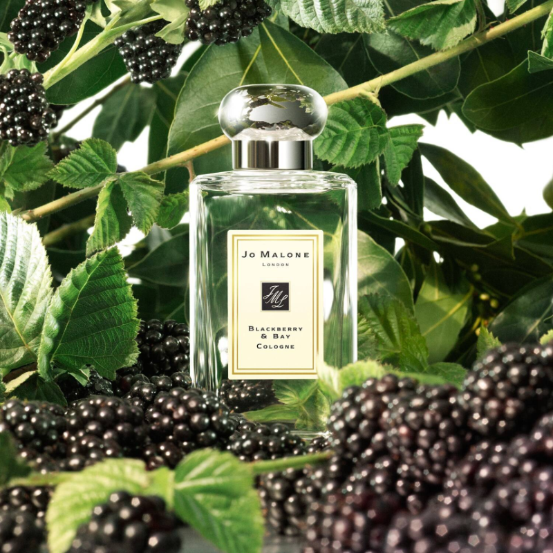 Jo Malone London Blackberry & Bay Cologne 30ml - Image 4