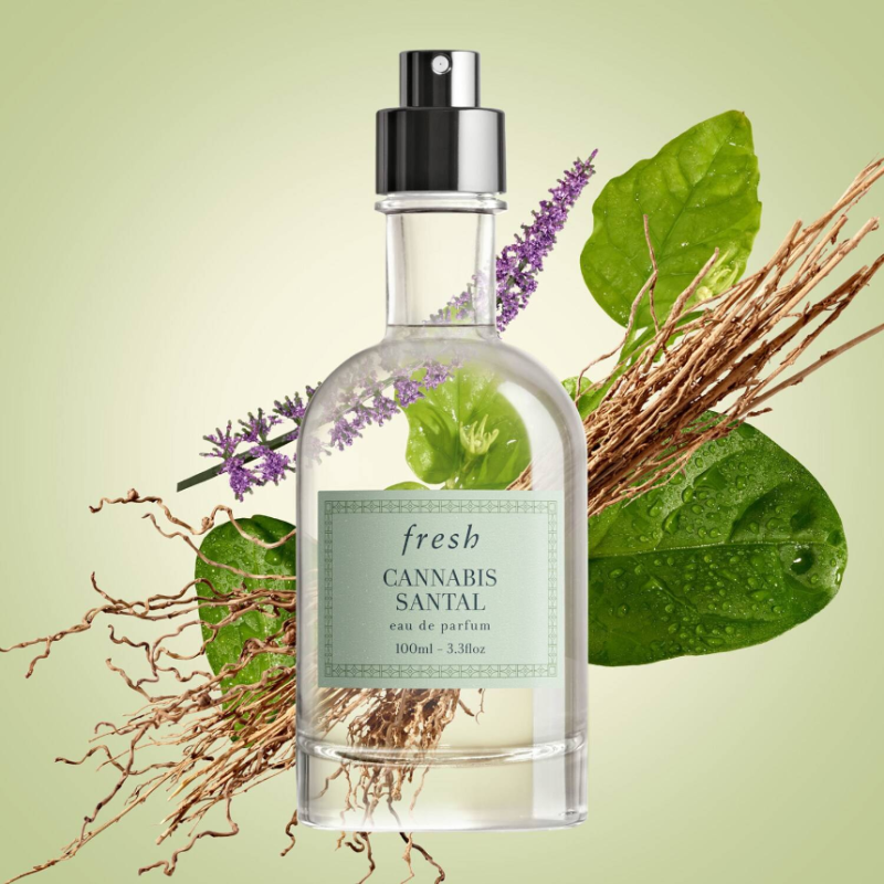 FRESH Cannabis Santal Eau De Parfum 100ml - Image 3