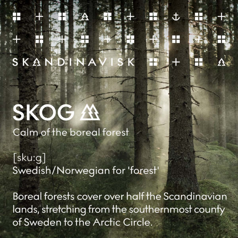 Skandinavisk SKOG Scented Candle 65g - Image 5