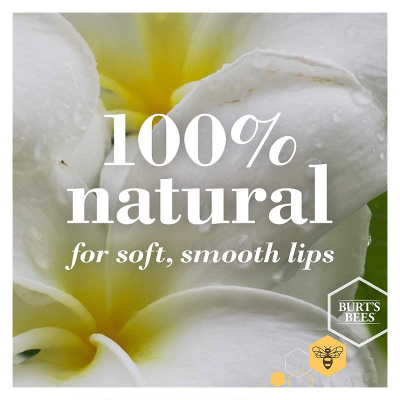 Burt’s Bees Overnight Intensive Lip Treatment 7.08g - Image 4