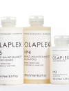 OLAPLEX Maintain and Perfect  1each
